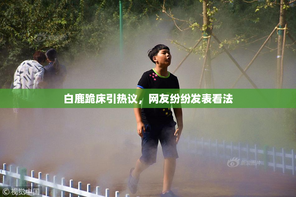 白鹿跪床引热议，网友纷纷发表看法