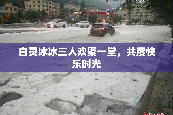 白灵冰冰三人欢聚一堂，共度快乐时光