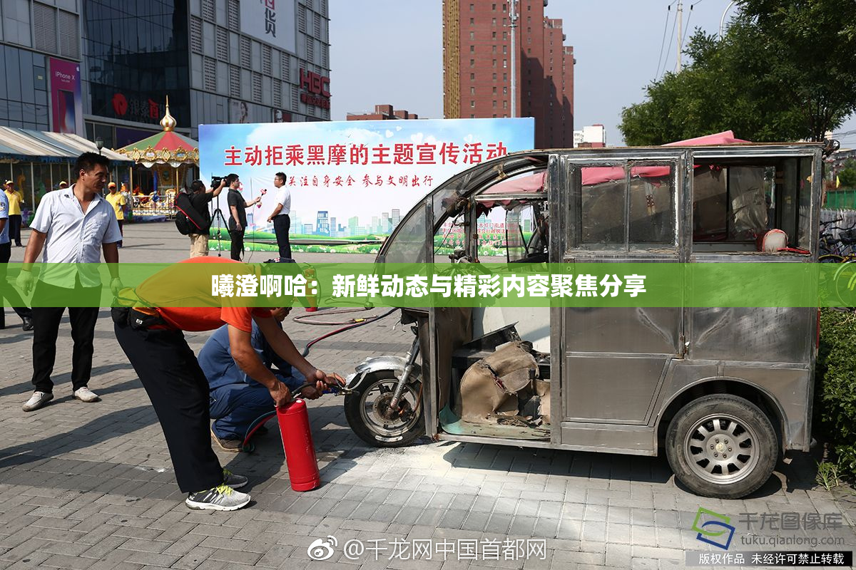 曦澄啊哈：新鲜动态与精彩内容聚焦分享