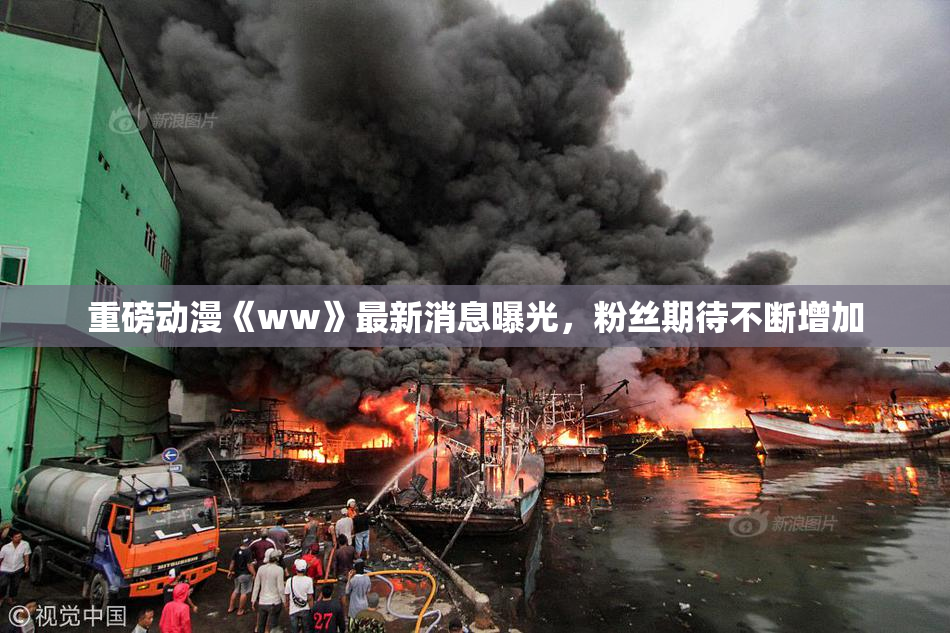 重磅动漫《ww》最新消息曝光，粉丝期待不断增加