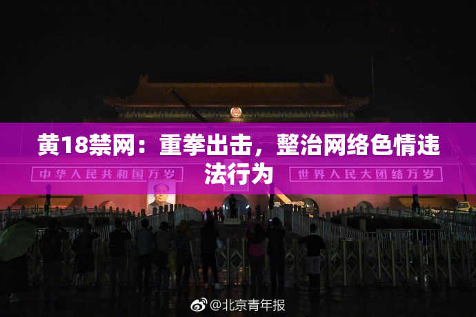 黄18禁网：重拳出击，整治网络色情违法行为