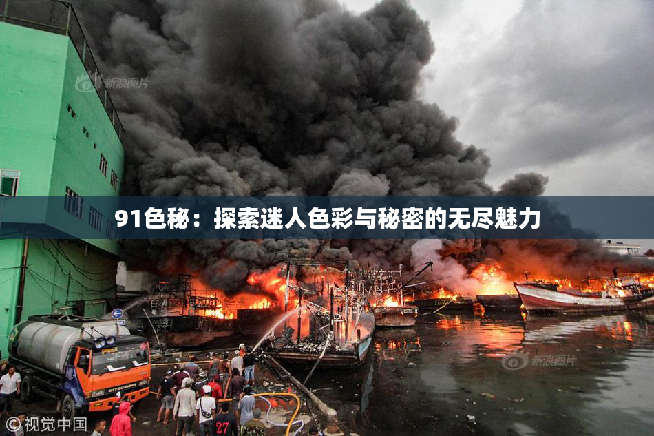 91色秘：探索迷人色彩与秘密的无尽魅力