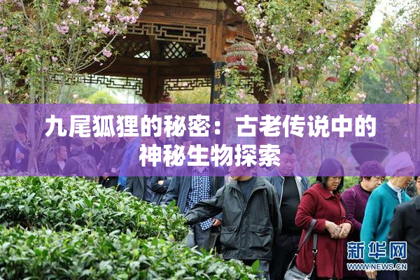 九尾狐狸的秘密：古老传说中的神秘生物探索