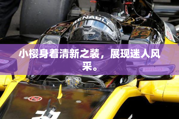 小樱身着清新之装，展现迷人风采。
