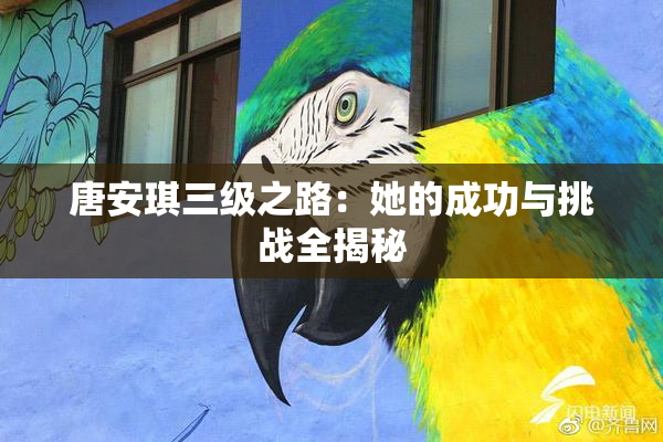 唐安琪三级之路：她的成功与挑战全揭秘