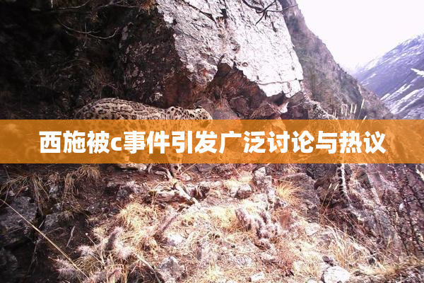 西施被c事件引发广泛讨论与热议