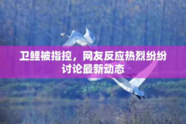 卫鲤被指控，网友反应热烈纷纷讨论最新动态