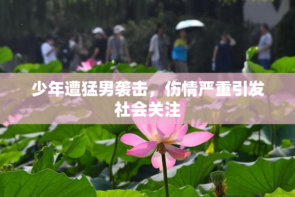 少年遭猛男袭击，伤情严重引发社会关注