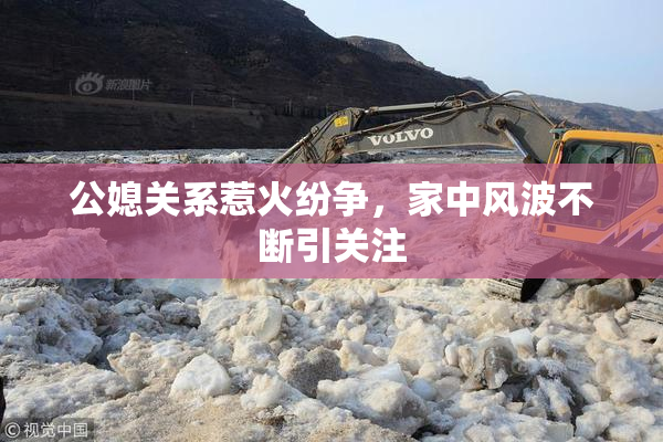 公媳关系惹火纷争，家中风波不断引关注