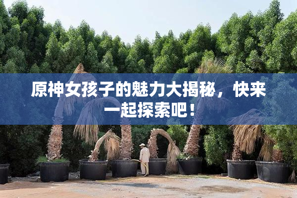 原神女孩子的魅力大揭秘，快来一起探索吧！