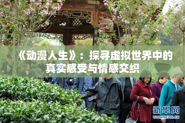 《动漫人生》：探寻虚拟世界中的真实感受与情感交织