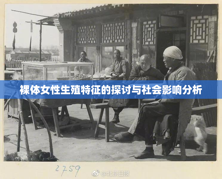 裸体女性生殖特征的探讨与社会影响分析