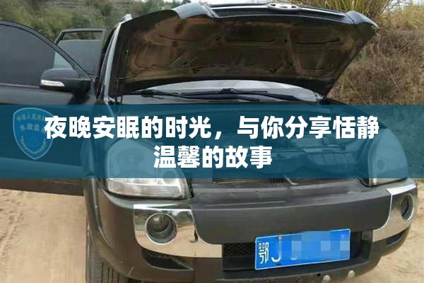 夜晚安眠的时光，与你分享恬静温馨的故事