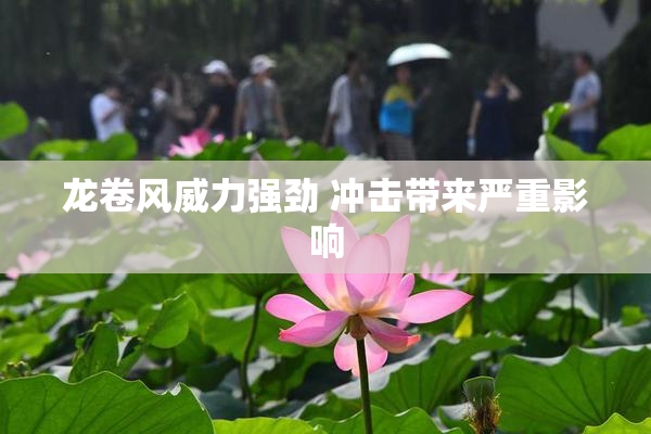 龙卷风威力强劲 冲击带来严重影响
