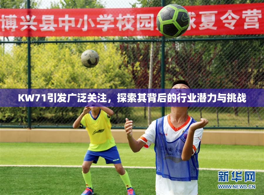 KW71引发广泛关注，探索其背后的行业潜力与挑战