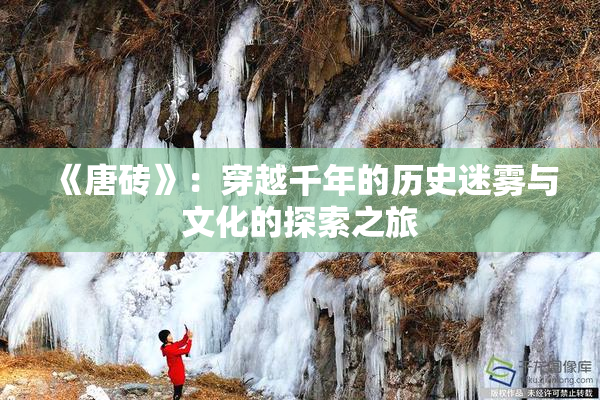 《唐砖》：穿越千年的历史迷雾与文化的探索之旅