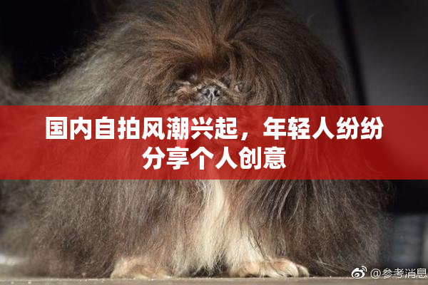 国内自拍风潮兴起，年轻人纷纷分享个人创意