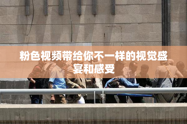 粉色视频带给你不一样的视觉盛宴和感受