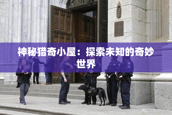 神秘猎奇小屋：探索未知的奇妙世界