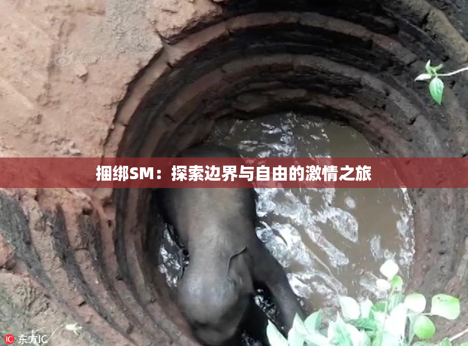 捆绑SM：探索边界与自由的激情之旅