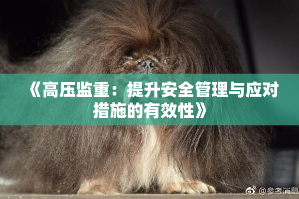 《高压监重：提升安全管理与应对措施的有效性》
