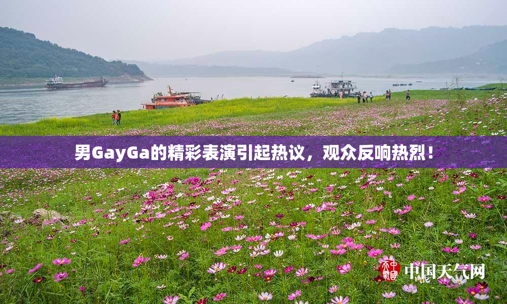男GayGa的精彩表演引起热议，观众反响热烈！