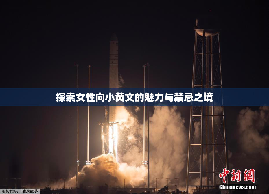 探索女性向小黄文的魅力与禁忌之境