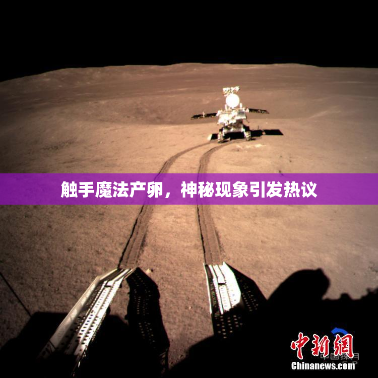触手魔法产卵，神秘现象引发热议