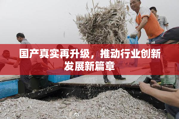 国产真实再升级，推动行业创新发展新篇章