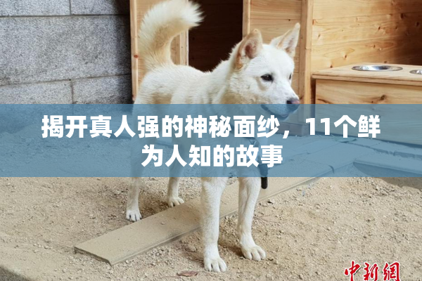 揭开真人强的神秘面纱，11个鲜为人知的故事