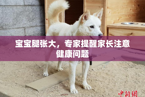 宝宝腿张大，专家提醒家长注意健康问题