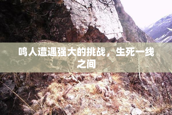 鸣人遭遇强大的挑战，生死一线之间