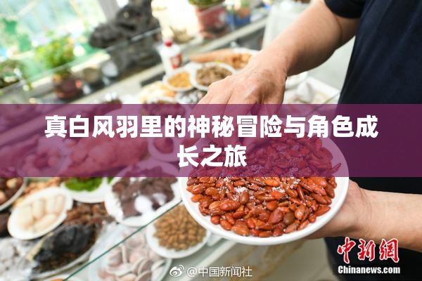 真白风羽里的神秘冒险与角色成长之旅