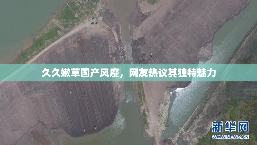 久久嫩草国产风靡，网友热议其独特魅力