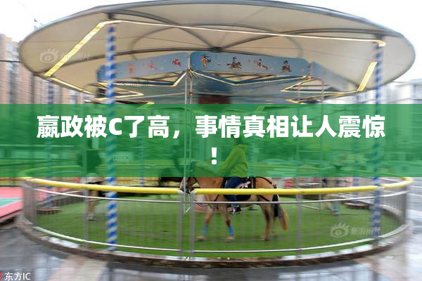 嬴政被C了高，事情真相让人震惊！