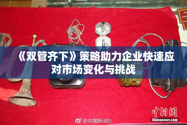 《双管齐下》策略助力企业快速应对市场变化与挑战