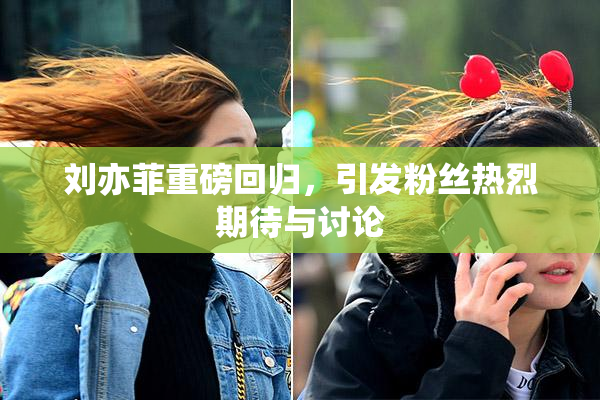 刘亦菲重磅回归，引发粉丝热烈期待与讨论