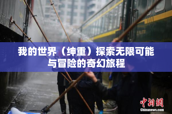 我的世界（绅重）探索无限可能与冒险的奇幻旅程
