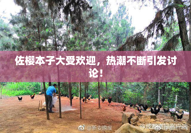 佐樱本子大受欢迎，热潮不断引发讨论！