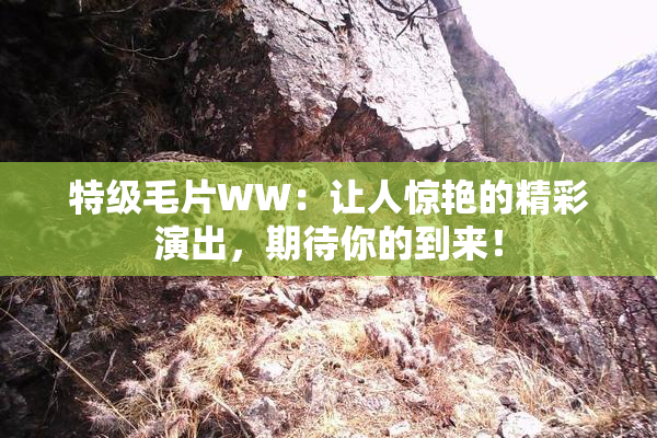 特级毛片WW：让人惊艳的精彩演出，期待你的到来！