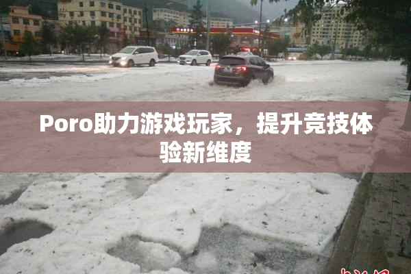 Poro助力游戏玩家，提升竞技体验新维度