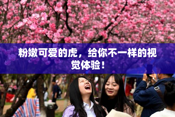 粉嫩可爱的虎，给你不一样的视觉体验！