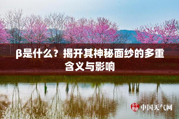 β是什么？揭开其神秘面纱的多重含义与影响