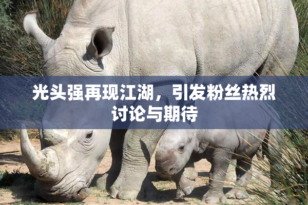 光头强再现江湖，引发粉丝热烈讨论与期待