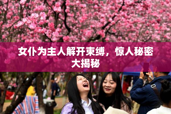 女仆为主人解开束缚，惊人秘密大揭秘