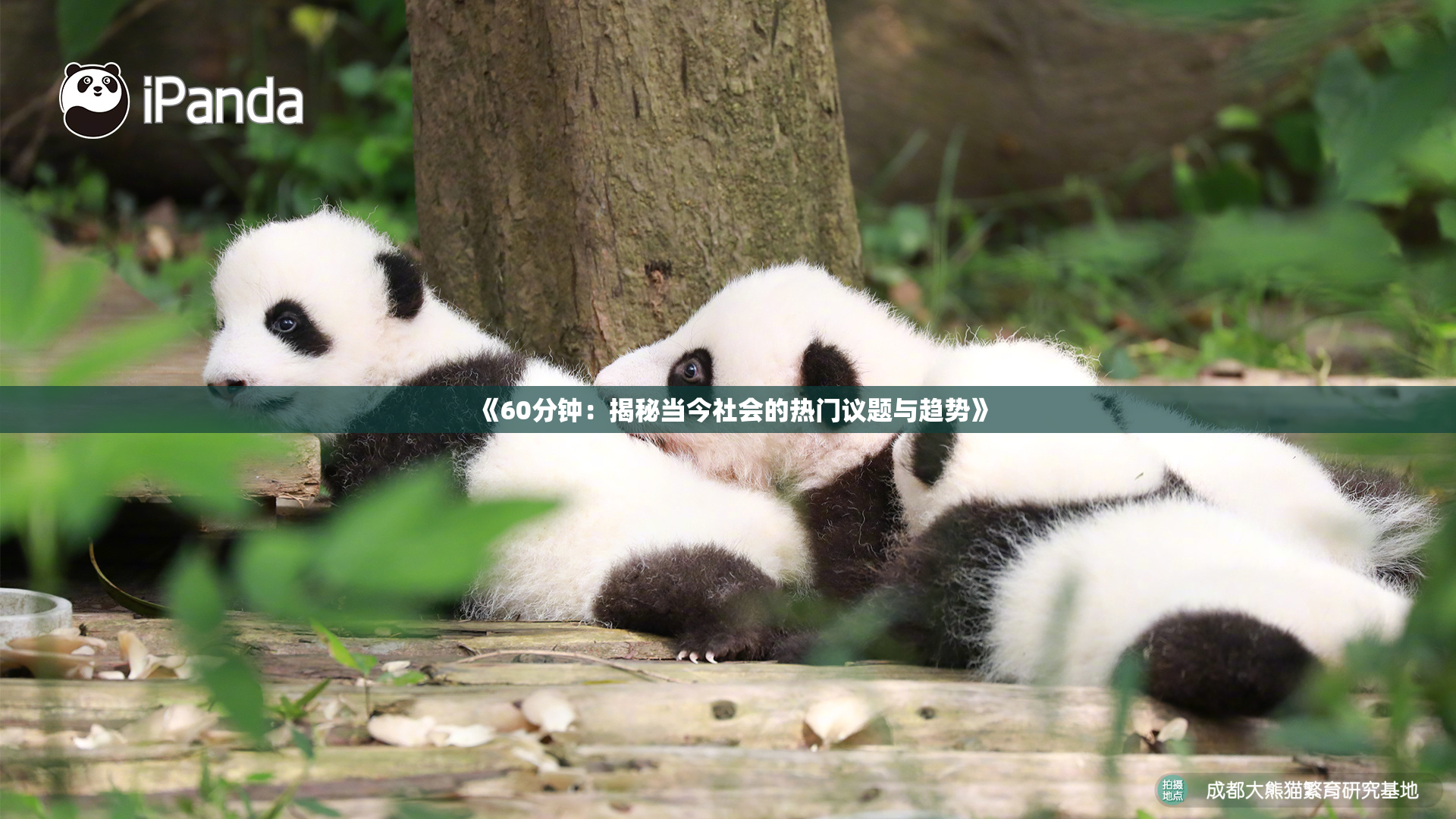 《60分钟：揭秘当今社会的热门议题与趋势》