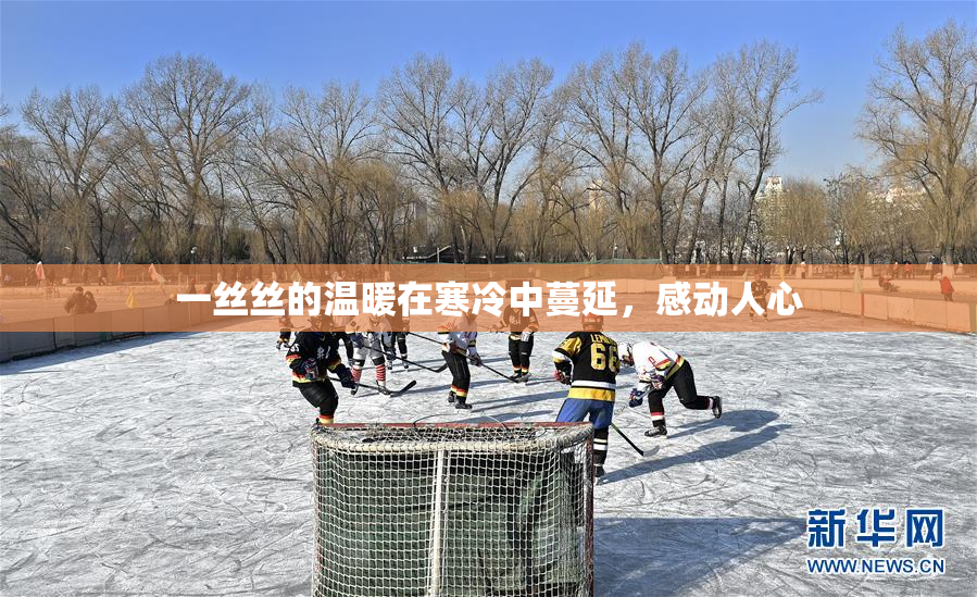 一丝丝的温暖在寒冷中蔓延，感动人心