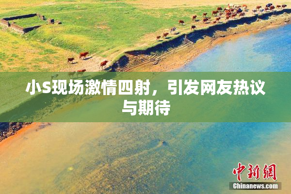小S现场激情四射，引发网友热议与期待