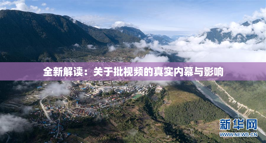 全新解读：关于批视频的真实内幕与影响