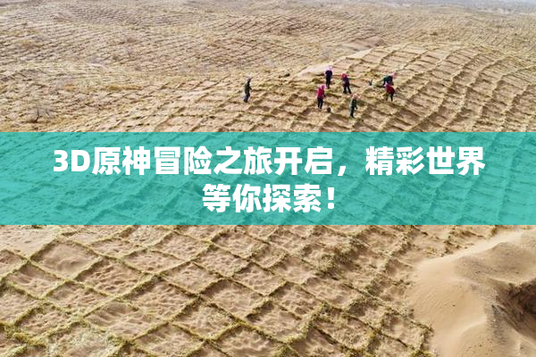 3D原神冒险之旅开启，精彩世界等你探索！